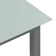 VIDAXL - vidaXL Table de jardin Gris clair 190x90x74 cm Aluminium et verre - vignette