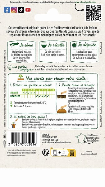 VILMORIN - Basilic citron - large