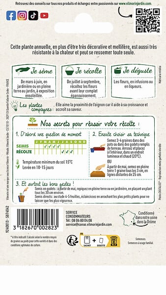 VILMORIN - Camomille - large