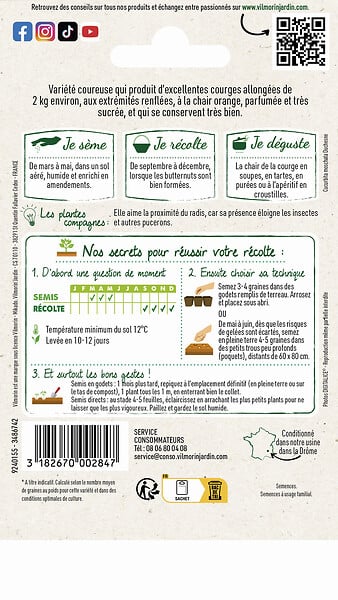 VILMORIN - Courge Waltham Butternut - potager - fruits 1,5 à 2 kg - large