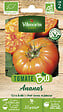 VILMORIN - Tomate Ananas Jaune Bio - Variété ancienne - Gros fruits - vignette