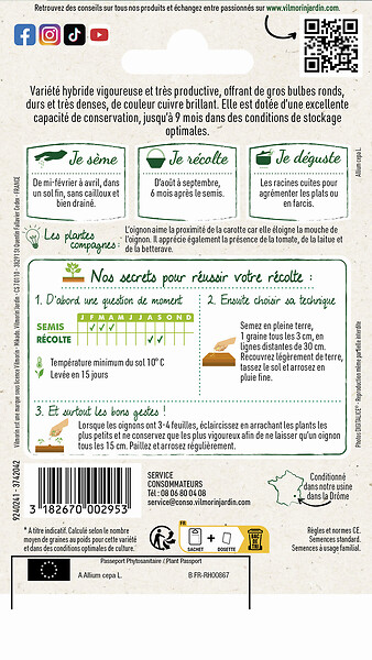 VILMORIN - Oignon jaune Jady F1 - Bulbe cuivré - Conservation 9 mois - large