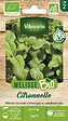 VILMORIN - Mélisse Citronnelle BIO - Plante vivace - Sachet de 1g - vignette