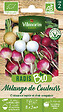 VILMORIN - Radis melange de couleurs bio vilmorin - vignette