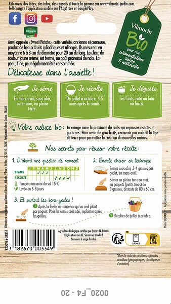 VILMORIN - Courge delicata bio - Graines potagères - Sachet - large