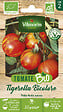 VILMORIN - Tomate tigerella bio vilmorin - vignette
