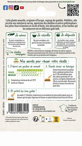 VILMORIN - Bourrache blanche vilmorin - large