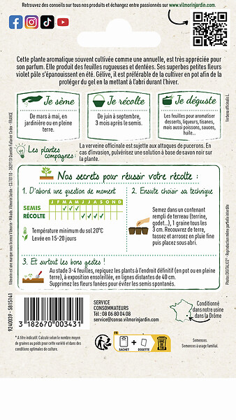 VILMORIN - Graines de Verveine officinale - Plante aromatique - Tisanes - large