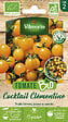 VILMORIN - Graines de tomate cerise Clémentine - Orange - Bio - vignette