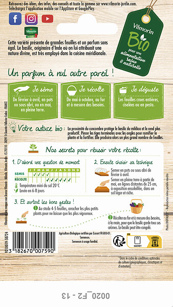 VILMORIN - Basilic Marseillais bio - Graines - en pot ou pleine terre - large