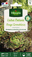 VILMORIN - Laitue Rouge Grenobloise Vilmorin - vignette
