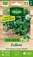 VILMORIN - Graines de coriandre bio - Vilmorin - 0,5 kg - vignette