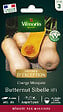 VILMORIN - Courge Musquée Butternut Sibelle Vilmorin - vignette