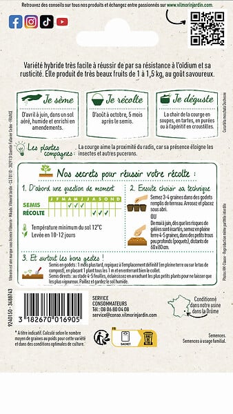VILMORIN - Courge Musquée Butternut Sibelle Vilmorin - large