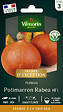 VILMORIN - Graines potiron Potimarron - 20cm - Orange - vignette