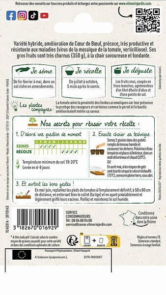 VILMORIN - Tomate Coeur de Boeuf Gourmandia HF1 - Sachet de 0,07g - large