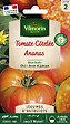 VILMORIN - Tomate Ananas Vilmorin - vignette