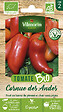 VILMORIN - Graine Tomate Cornue des Andes bio - Variété ancienne - vignette