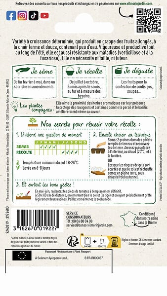 VILMORIN - Graines de tomate Roma - Forme allongée - Variété charnue - large