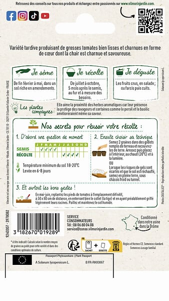VILMORIN - Tomate Cœur de Bœuf - Cuor Di Bue - Variété tardive charnue - large