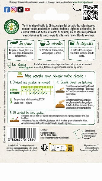 VILMORIN - Laitue à couper Querido - Feuille de Chêne - Résistante - large