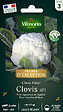 VILMORIN - Chou-fleur Clovis HF1 - sachet 0,5 g - résistant froid - vignette