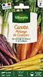 VILMORIN - Graines carottes multicolores mélange de couleurs - 1 g - vignette