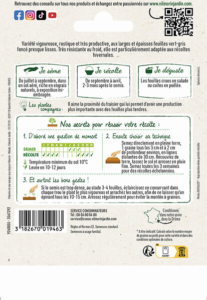 VILMORIN - Épinard géant d'hiver - Graines potagères - Variété rustique - large