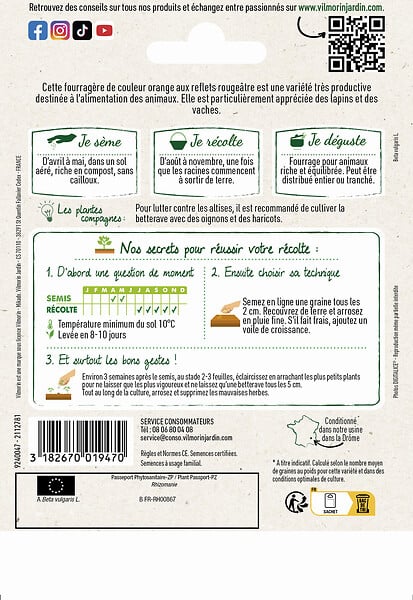 VILMORIN - Betterave fourragère - Jaune géante de Vauriac - sachet 10g - large