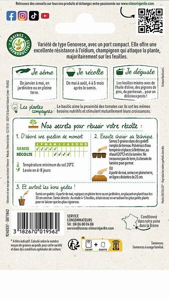 VILMORIN - Graines de Basilic Genovese Loki - Résistant oïdium - large