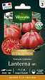 VILMORIN - Tomate côtelée Lanterna HF1 Vilmorin - vignette