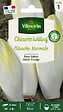 VILMORIN - Chicorée Witloof (endive) Blanche Normale - vignette