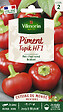 VILMORIN - Piment Topik HF1 - Graines - Hybride - vignette