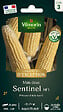 VILMORIN - Maïs doux Sentinel HF1 - Graines - Super sucré - vignette