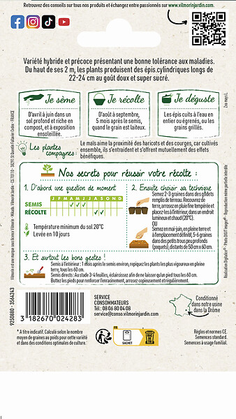 VILMORIN - Maïs doux Sentinel HF1 - Graines - Super sucré - large