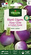 VILMORIN - Navet Blanc Globe à collet violet - Sachet de 4g - vignette