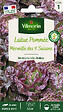 VILMORIN - Laitue pommée - Merveille des 4 Saisons - Rouge - vignette