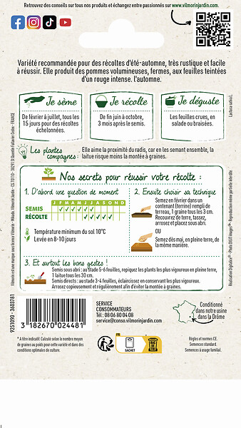 VILMORIN - Laitue pommée - Merveille des 4 Saisons - Rouge - large
