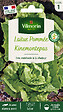 VILMORIN - Laitue Pommée Kinemontepas - Graines - Résistante chaleur - vignette