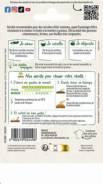 VILMORIN - Laitue Pommée Kinemontepas - Graines - Résistante chaleur - large