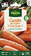 VILMORIN - Carotte de Colmar - vignette
