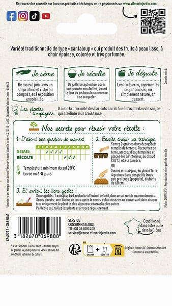 VILMORIN - Melon Charentais - large