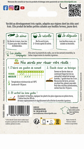 VILMORIN - Laitue pommée Gotte Jaune d'Or - précoce - croissance rapide - large