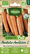 VILMORIN - Graines de carotte bio - Nantaise améliorée 3 - Orange - vignette