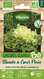 VILMORIN - Graines potagères - Chicorée Scarole Blonde à cœur plein Bio - vignette