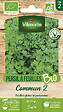 VILMORIN - Persil commun 2 bio Vilmorin - vignette