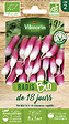 VILMORIN - Radis de 18 jours - Bio - Variété traditionnelle rapide - vignette