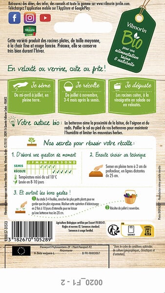 VILMORIN - Betterave noire d'Égypte - Graines potagères bio - 6 g - large
