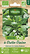 VILMORIN - Mâche a grosse graine bio Vilmorin - vignette