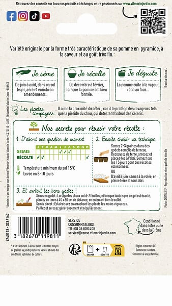 VILMORIN - Graines de Chou brocoli Romanesco précoce - 2 g - large